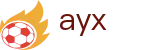 爱游戏（中文）官方主页 - ayx · 赛事信息服务与运营管理